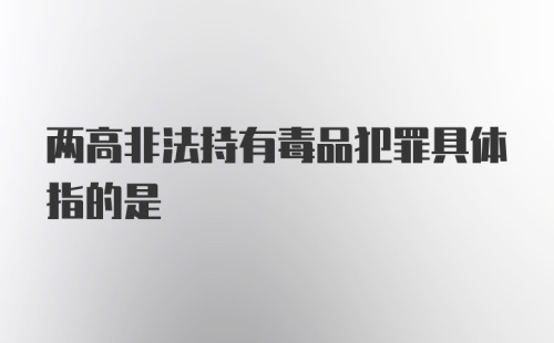 两高非法持有毒品犯罪具体指的是