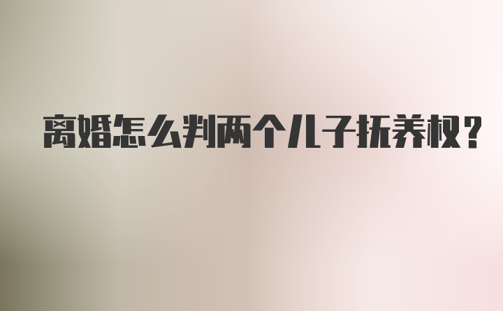 离婚怎么判两个儿子抚养权？