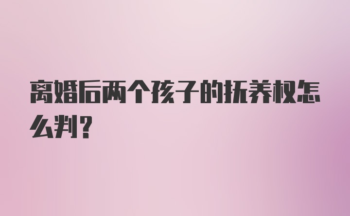 离婚后两个孩子的抚养权怎么判？