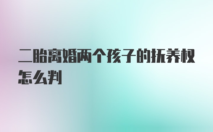 二胎离婚两个孩子的抚养权怎么判