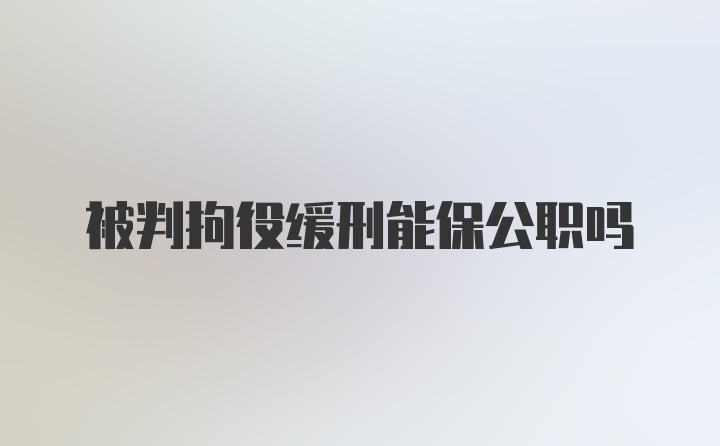 被判拘役缓刑能保公职吗