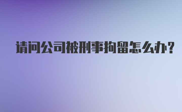 请问公司被刑事拘留怎么办？