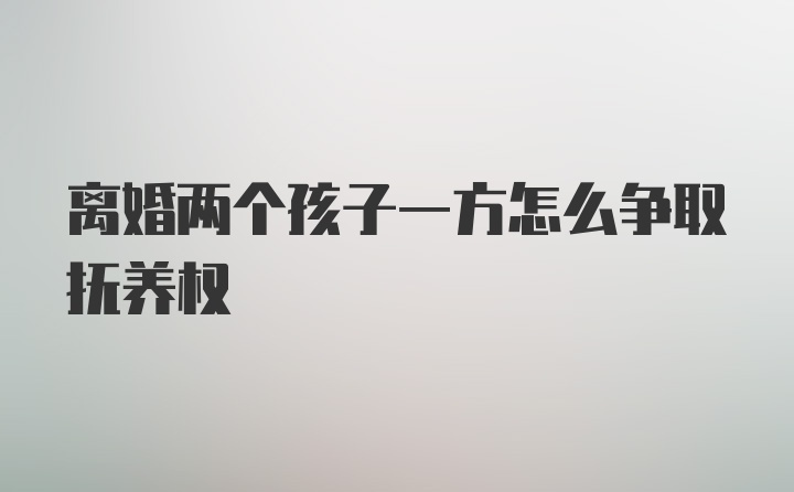 离婚两个孩子一方怎么争取抚养权