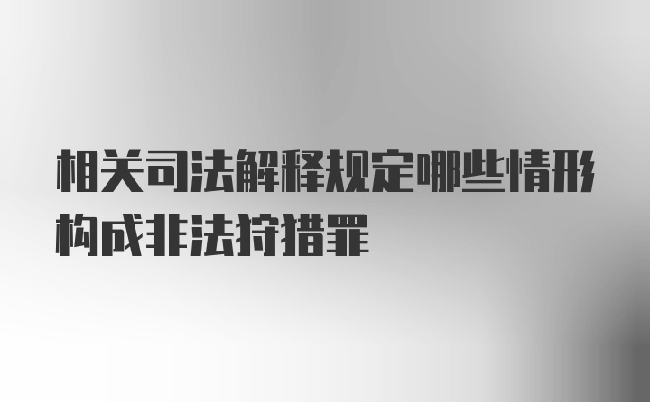 相关司法解释规定哪些情形构成非法狩猎罪