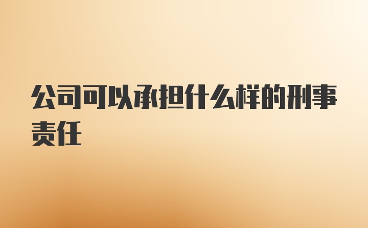 公司可以承担什么样的刑事责任