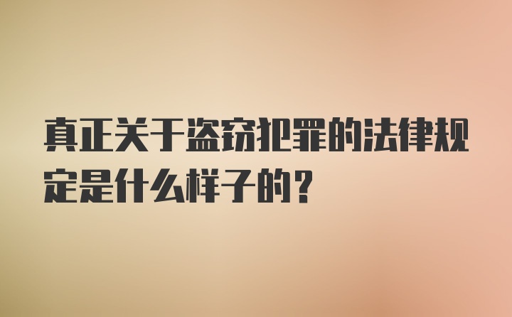 真正关于盗窃犯罪的法律规定是什么样子的？