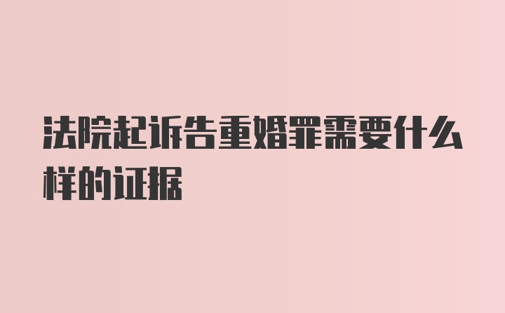 法院起诉告重婚罪需要什么样的证据