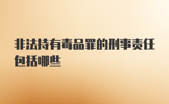 非法持有毒品罪的刑事责任包括哪些