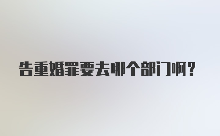 告重婚罪要去哪个部门啊?