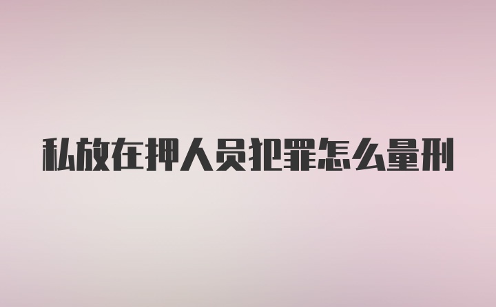 私放在押人员犯罪怎么量刑