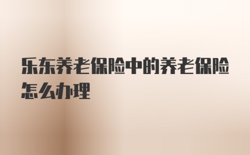 乐东养老保险中的养老保险怎么办理