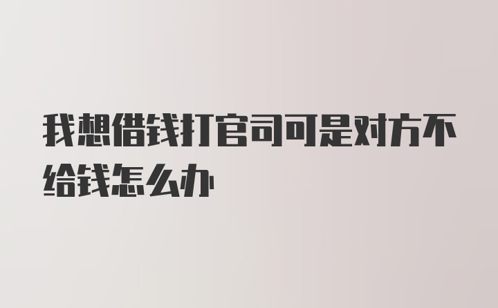 我想借钱打官司可是对方不给钱怎么办