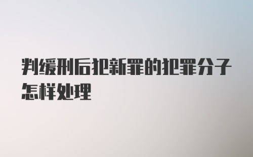 判缓刑后犯新罪的犯罪分子怎样处理