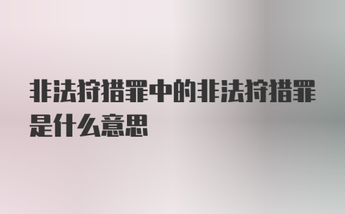 非法狩猎罪中的非法狩猎罪是什么意思