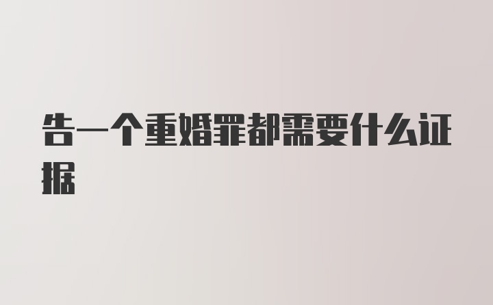 告一个重婚罪都需要什么证据