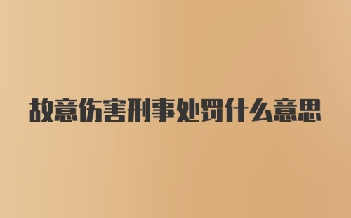 故意伤害刑事处罚什么意思