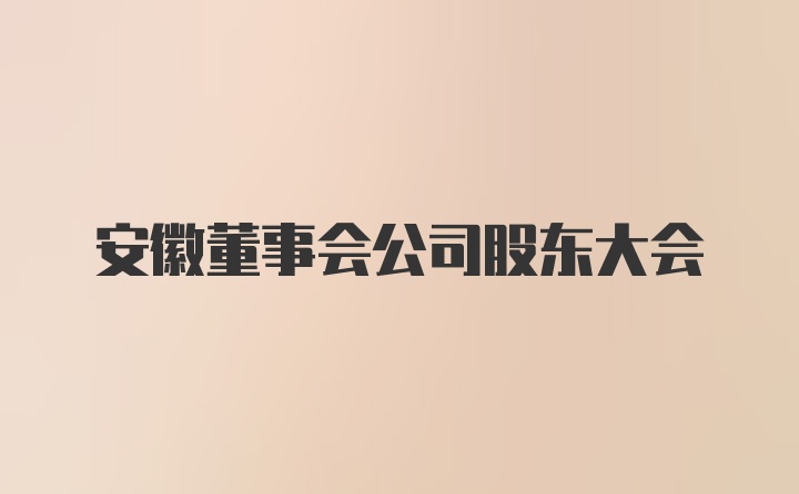 安徽董事会公司股东大会