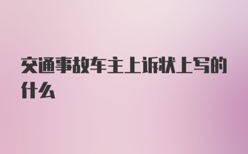 交通事故车主上诉状上写的什么