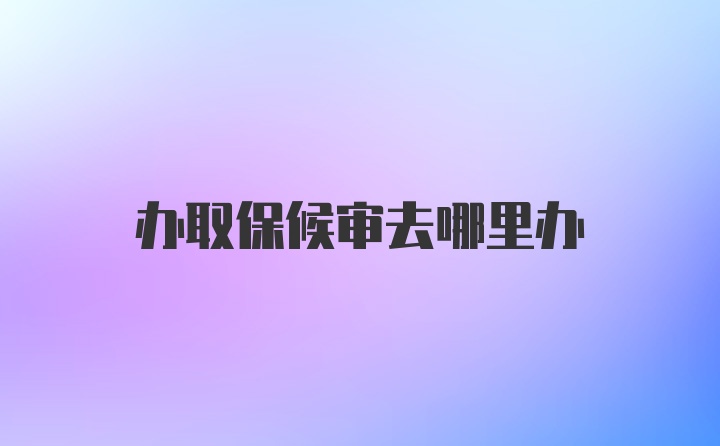 办取保候审去哪里办