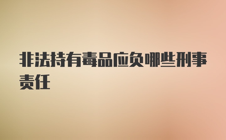 非法持有毒品应负哪些刑事责任