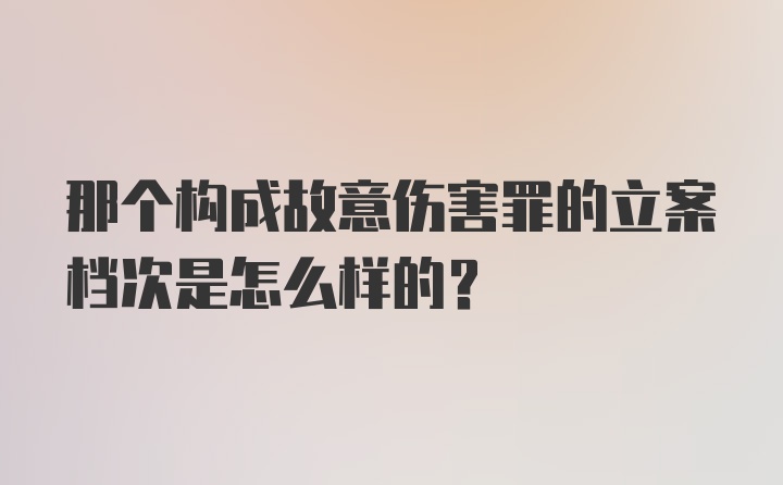 那个构成故意伤害罪的立案档次是怎么样的？