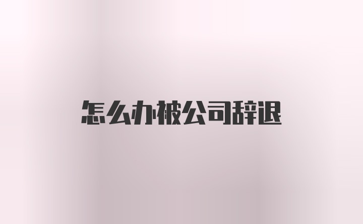 怎么办被公司辞退