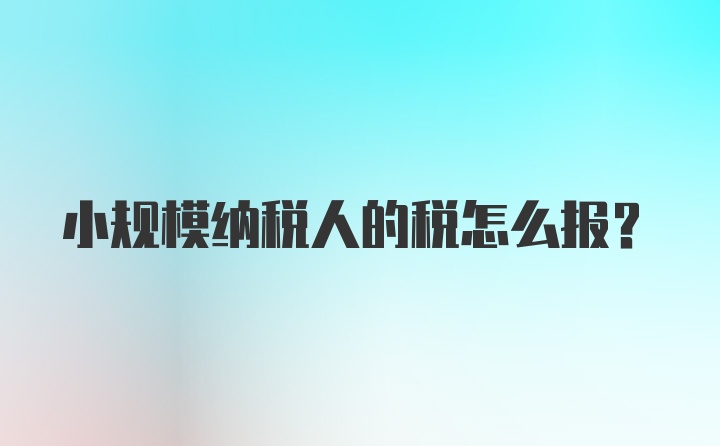 小规模纳税人的税怎么报？