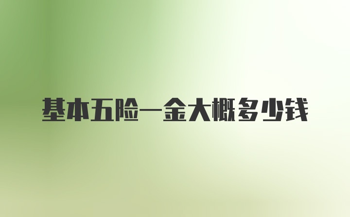 基本五险一金大概多少钱