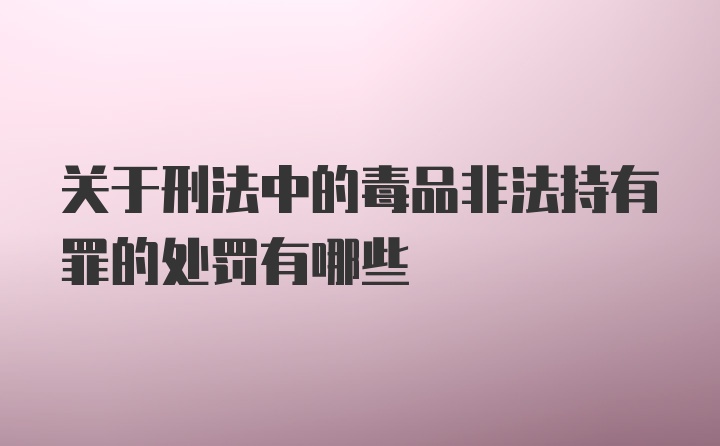 关于刑法中的毒品非法持有罪的处罚有哪些