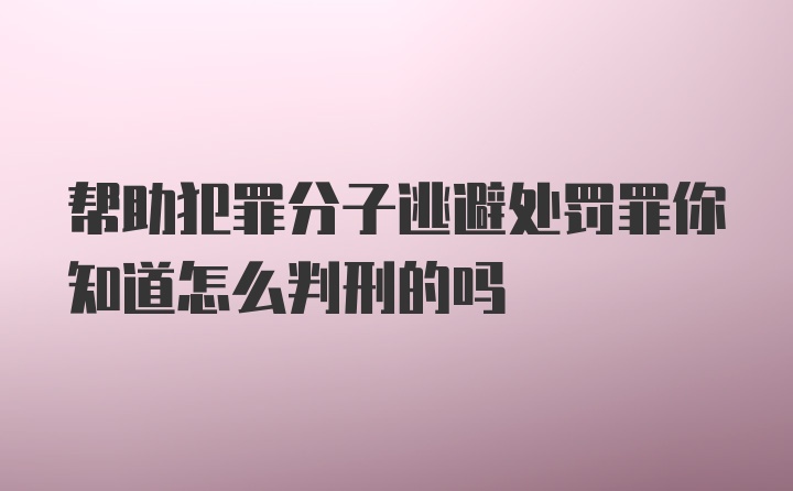 帮助犯罪分子逃避处罚罪你知道怎么判刑的吗