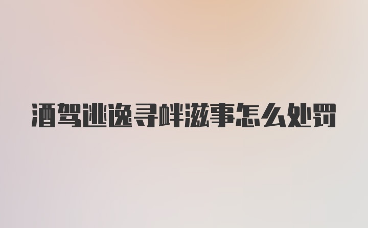 酒驾逃逸寻衅滋事怎么处罚