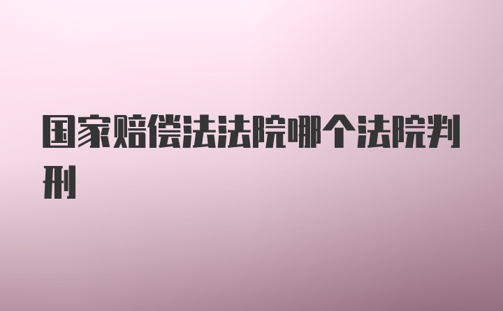 国家赔偿法法院哪个法院判刑