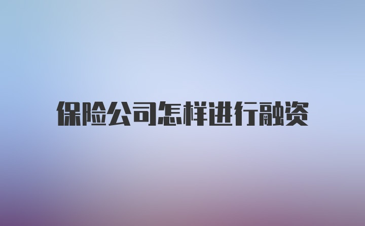 保险公司怎样进行融资