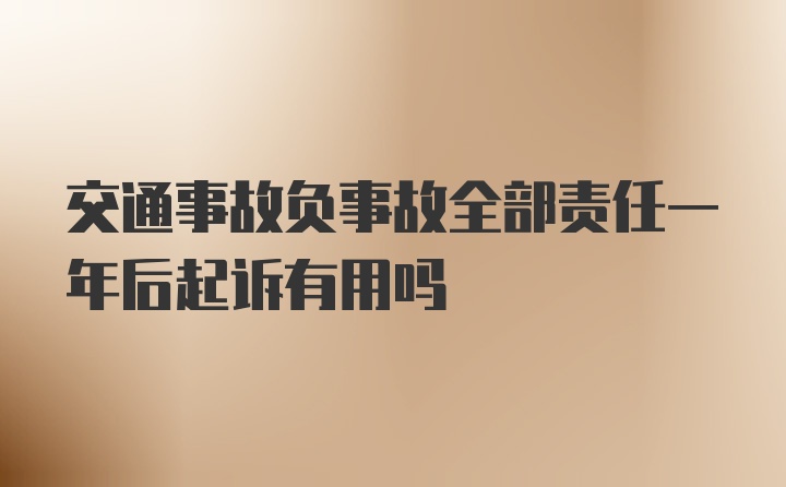 交通事故负事故全部责任一年后起诉有用吗