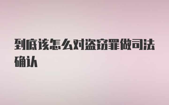 到底该怎么对盗窃罪做司法确认