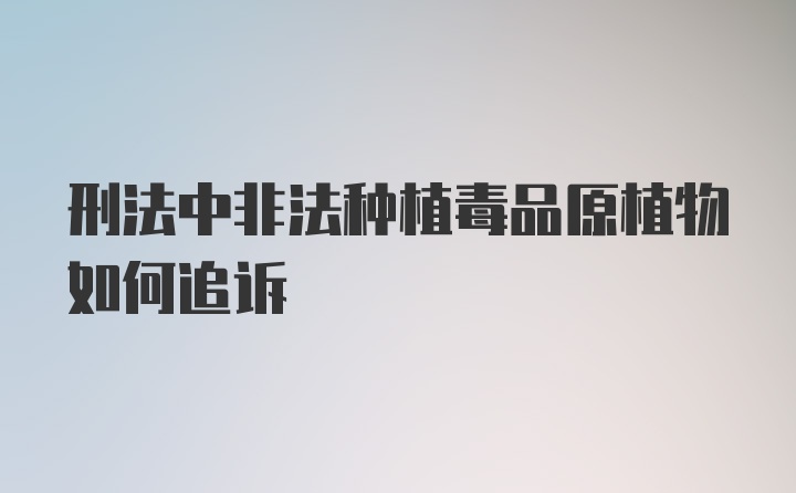 刑法中非法种植毒品原植物如何追诉