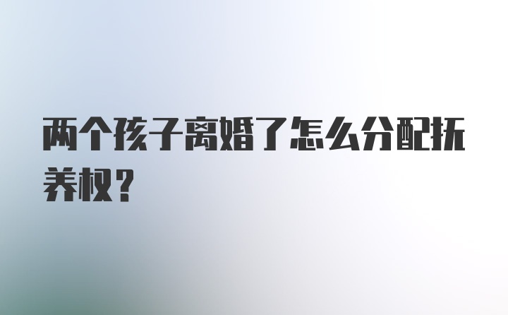 两个孩子离婚了怎么分配抚养权?