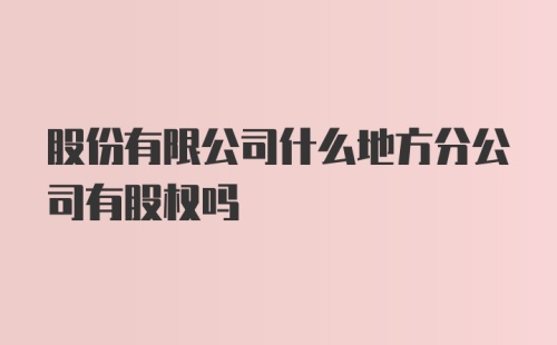 股份有限公司什么地方分公司有股权吗