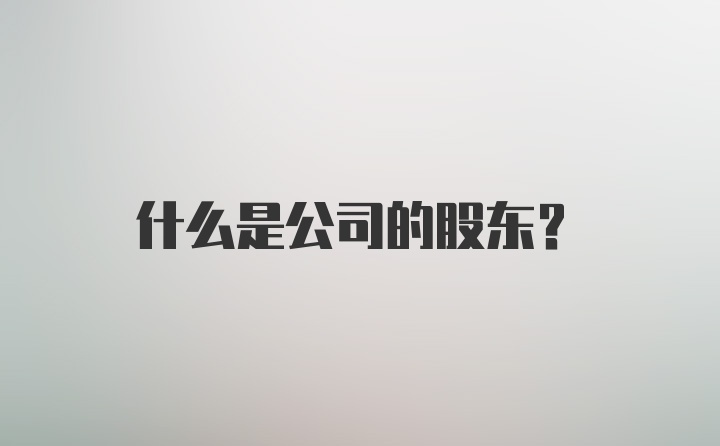 什么是公司的股东？