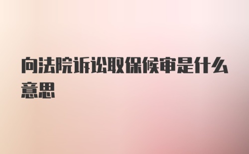 向法院诉讼取保候审是什么意思