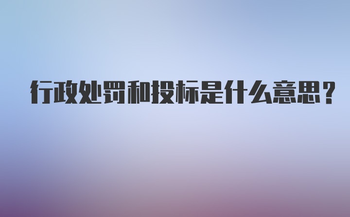 行政处罚和投标是什么意思？