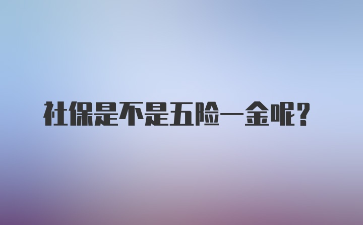 社保是不是五险一金呢？