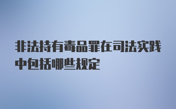 非法持有毒品罪在司法实践中包括哪些规定