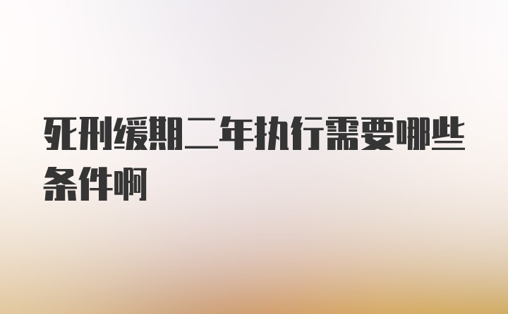 死刑缓期二年执行需要哪些条件啊