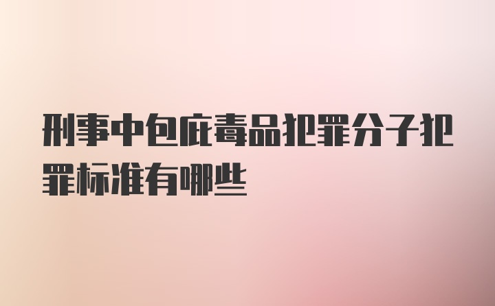 刑事中包庇毒品犯罪分子犯罪标准有哪些