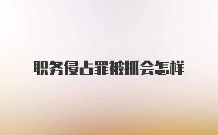 职务侵占罪被抓会怎样