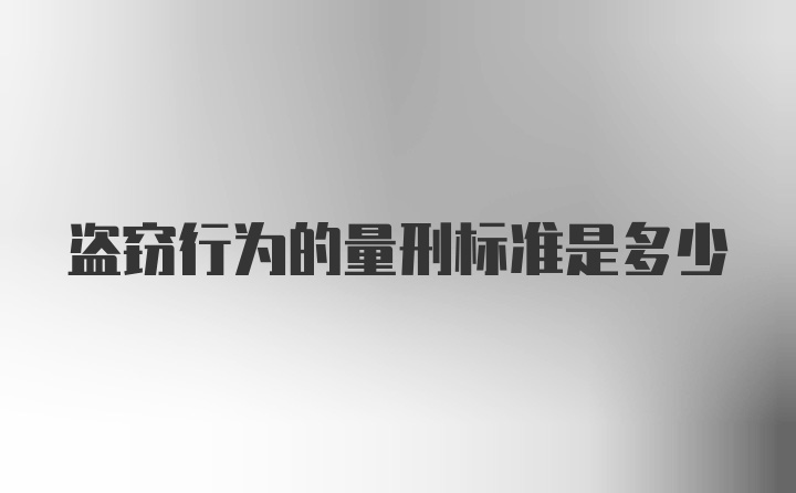 盗窃行为的量刑标准是多少