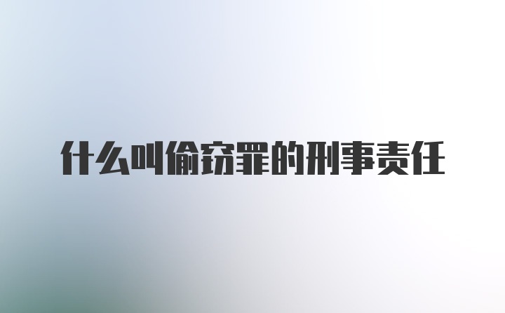 什么叫偷窃罪的刑事责任