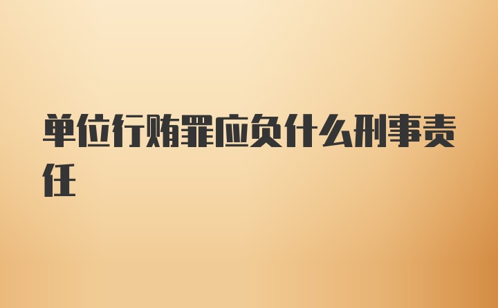 单位行贿罪应负什么刑事责任