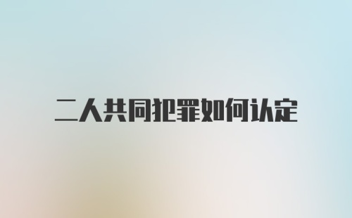 二人共同犯罪如何认定